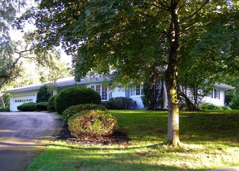 La galerie d'Ingrid Mueller Art & Concepts sur la rue Lynnhaven 