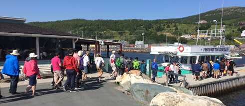Tour boats, like this one in Bay Bulls, count puffins and whale-watching as their main attractions 