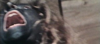 Anima-Sound: Mit 20km/h durch Europa (1972)