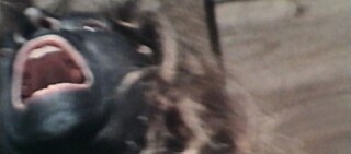 Anima-Sound: Mit 20km/h durch Europa (1972)