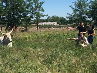 Romantik der Stadt aus ungarischer Sicht