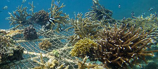 Moving Waters Film Festival