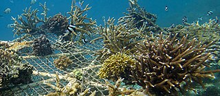 Moving Waters Film Festival