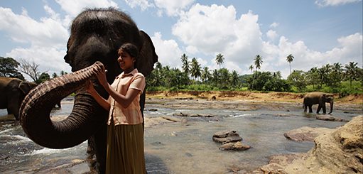 Film Series: Strong Women