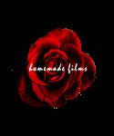 homemade films