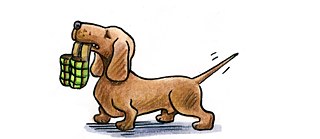 Gezeichnete Interview-Antwort von Isabel Kreitz