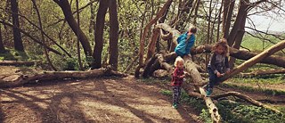 Playground in the woods, ten minutes from home.