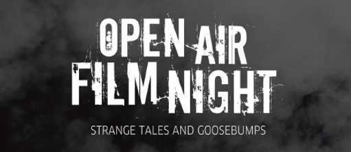 Open Air Film Night © Goethe-Institut / Max Mueller Bhavan