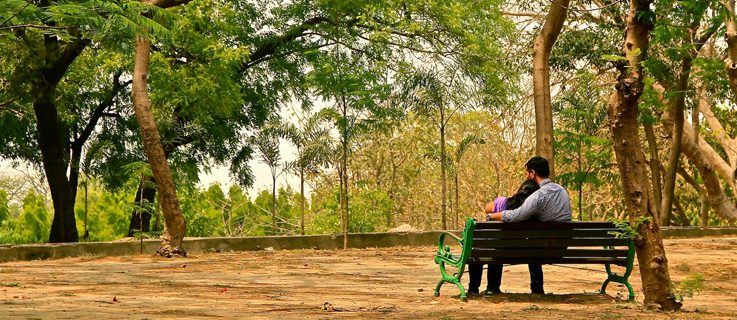Couple in the park