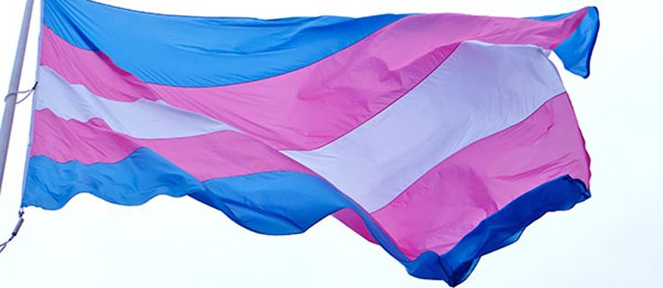 Die Transgender Pride Flagge