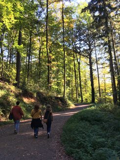 Unterweges auf dem Philosophenweg: Ein Bergwanderweg direkt bei Heidelberg