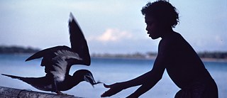 Jutta Malnic: Mwaga, A Bird at the End of the World