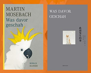 Was davor geschah, Cover deutsch und chinesisch © © Carl Hanser Verlag; Yilin Verlag Was davor geschah, Cover deutsch und chinesisch
