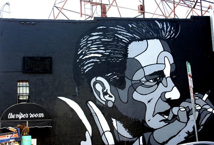 Johnny Cash by David Flores