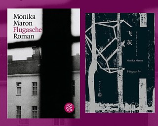 Flugasche, Cover deutsch und chinesisch &copy; © Fischer Verlag; Renmin Literatur Verlag Flugasche, Cover deutsch und chinesisch