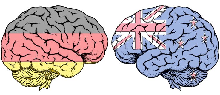 Mehrsprachigkeit verändert die Struktur und Funktion des Gehirns. 