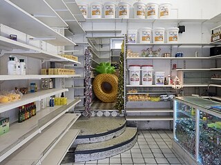 Mika Rottenberg - Cosmis Generator