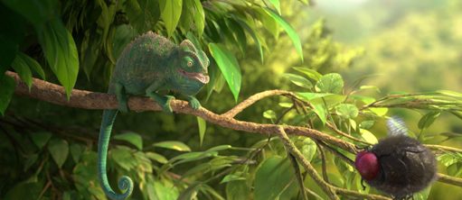 Our Wonderful Nature – The Common Chameleon