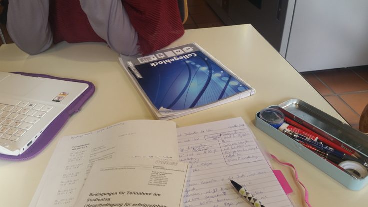 Lernen für die Uni in der Bibliothek