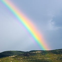 Warum ist der Regebogen bunt? © colourbox.de © © colourbox.de Warum ist der Regebogen bunt?