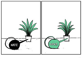 Aus: Message in a Seed