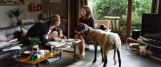 Die Blumen von gestern