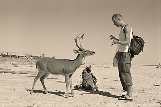 Wolfgang Tillmans: Deer Hirsch, 1995