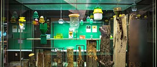 "Useful Nature, Useless nature" (2017) an artwork by Robert Zhao Renhui.