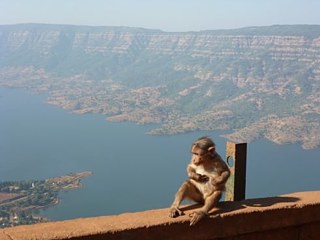 Berggipfel rund um Mahabaleshwar