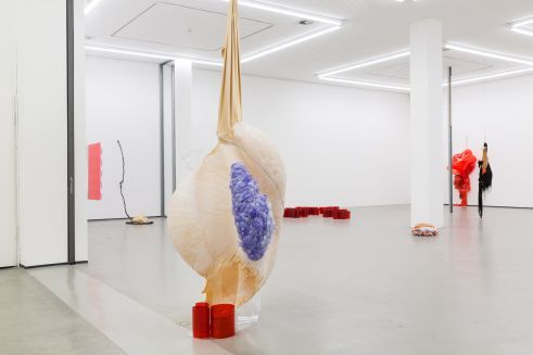 Daiga Grantina, 2017