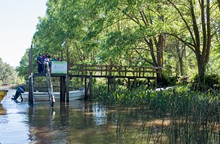 Un lugar mágico donde esperar la lancha 
