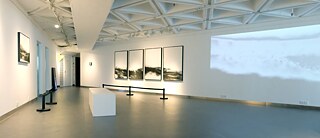 Solo exhibition by Carla Chan