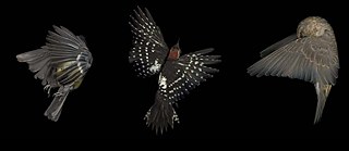 Workshop on Portraits by Edgar Leciejewski