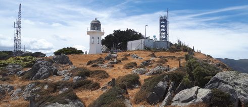 Es gibt viele Gründe, warum sich deutsche Wissenschaftler für Neuseeland interessieren, etwa die Lage oder die Umwelt des Landes. Die Forschungsstätte Baring Head etwa hat sich zu einem international renommierten Institut im Bereich atmosphärischer Spurenstoffe entwickelt, das auch von vielen deutschen Wissenschaftlern besucht wird. 