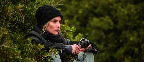 In the Fade