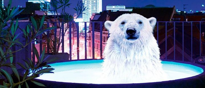 Die Berlinale 2018 aus Griechischer Perspektive