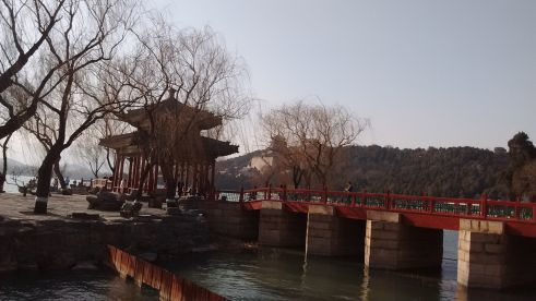 Peking