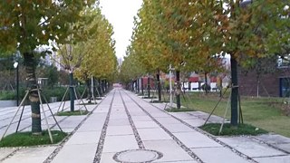 Das Umweltprojekt mit dem Goethe-Institut