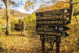 Hobby-Astronomie und Abenteuer-Camping im Naturpark Eifel