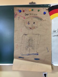 Der Mann - Körperteile