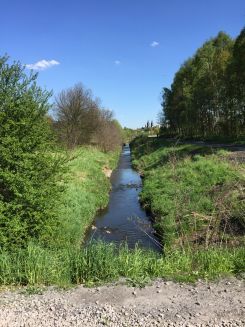 Mein grüner Lieblingsfleck