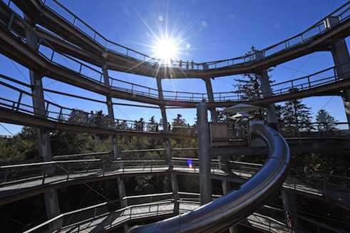 Schwarzwald von oben: Klettern in den Wipfeln der Bäume