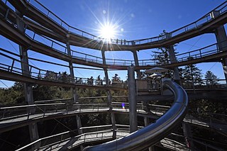 Schwarzwald von oben: Klettern in den Wipfeln der Bäume