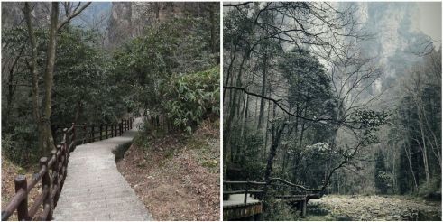 Der Zhangjiajie Nationalforest