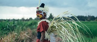 Production photograph