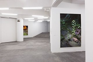 Wolfgang Tillmans: Fragile, Kinshasa 2018 © Photo: Wolfgang Tillmans Wolfgang Tillmans: Fragile, Kinshasa 2018