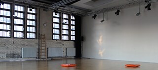 Curating Performing Arts – Practice and Strategies