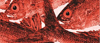 State of Housing 2018 - talk