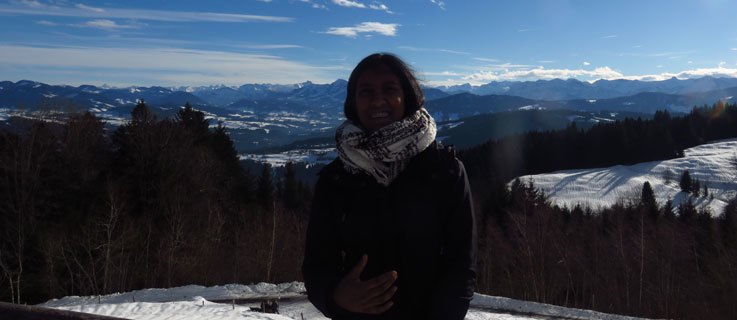 View from atop the Alps in Bregenz, Austria