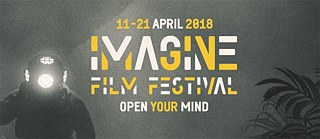 Logo Imagine Film Festival